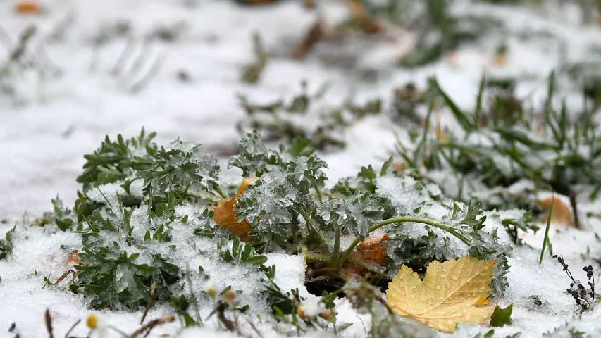Фото - Россиян предупредили о резком похолодании в ряде регионов